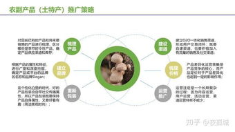 農副產品及土特產電商運營推廣想賺錢,請先了解互聯網營銷方法