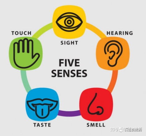 我說 如何高效記單詞