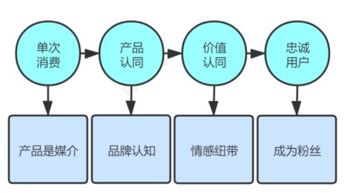 電商運營通過用戶成長轉化內循環,構建營銷生態閉環