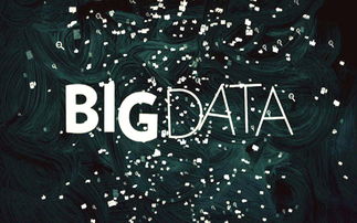 工信部羅文 以大數(shù)據(jù)助力制造強(qiáng)國建設(shè)