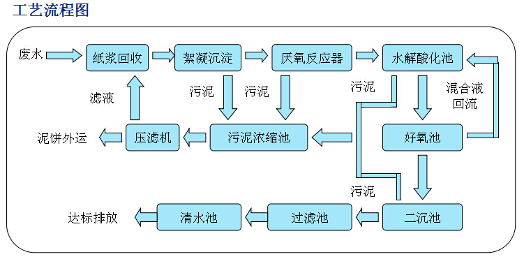 成都華明玻璃紙股份污水運營工程|行業工程案例|湖北盛世環保科技
