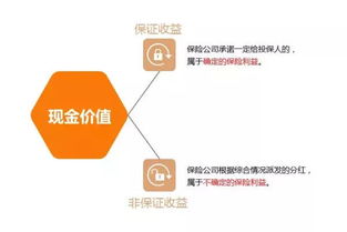 香港保險七大基本要素 你需要知道