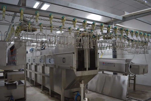 富寧首家,安好農(nóng)貿(mào)市場(chǎng)禽類加工廠試運(yùn)行 每小時(shí)可屠宰2000只