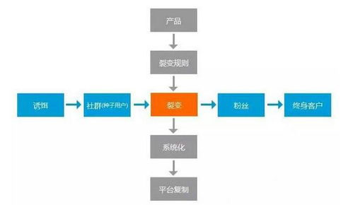 一個月裂變10萬粉,這才是裂變式營銷 出品