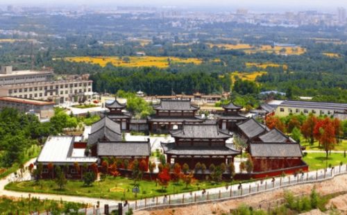 產業(yè)振興的鄉(xiāng)村開發(fā)模式 運營類型篇