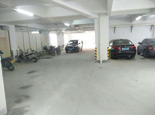 品牌成功運營榜樣 金象珠寶上海瑞鑫店舉行店慶商演